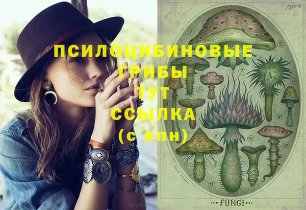 винт Алексеевка