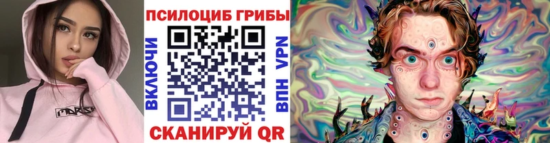 дарнет шоп  Фатеж  Галлюциногенные грибы Cubensis 